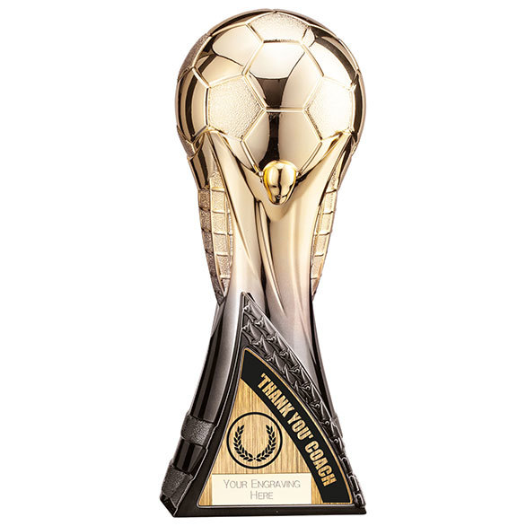 Football Manager Thanks Trophy Award 230mm FREE Engraving 